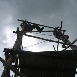Voorkamp - Tjif en Sneeuwuil bouwen de toren 2 - Scouts en Gidsen Zaventem 